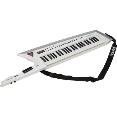 ROLAND AX-EDGE-W 